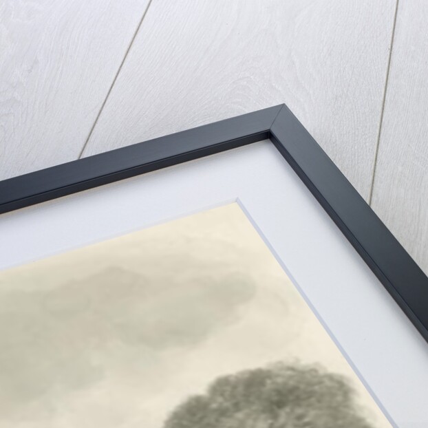 Sandon Hall by John Buckler