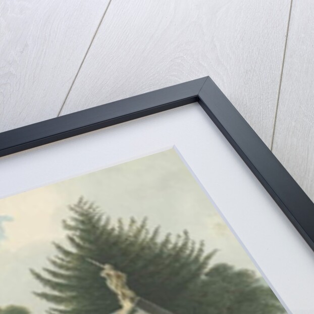 Patshull Church by Robert Noyes