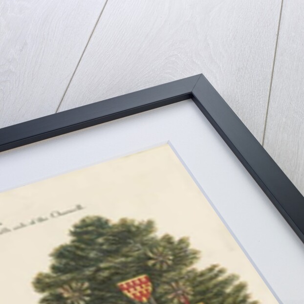 Sandon Church - Wall Painting by John Robert Fernyhough