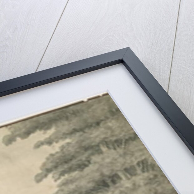 Sandwell Park - Hall by T Carter