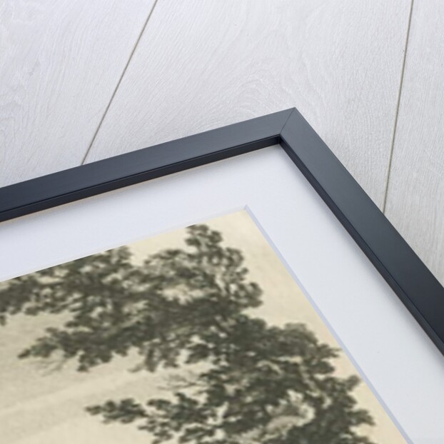 Sandwell Park - Hall by Benezech Benezech