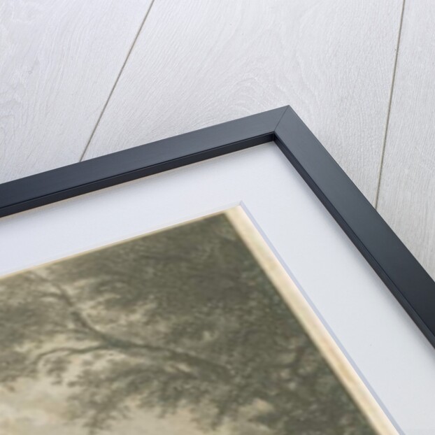 Shelton - Grove House: engraving by T Taylor