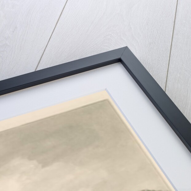 Thorpe Constantine Church by John Buckler