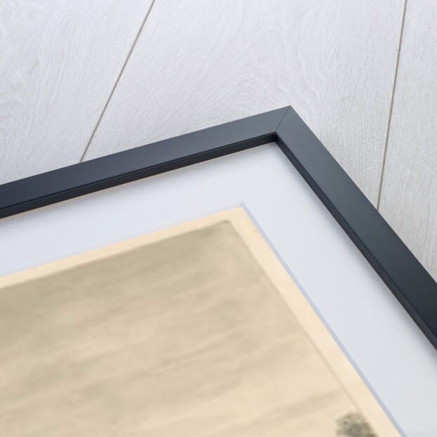 Tixall Hall - Stables, 1841 by John Buckler