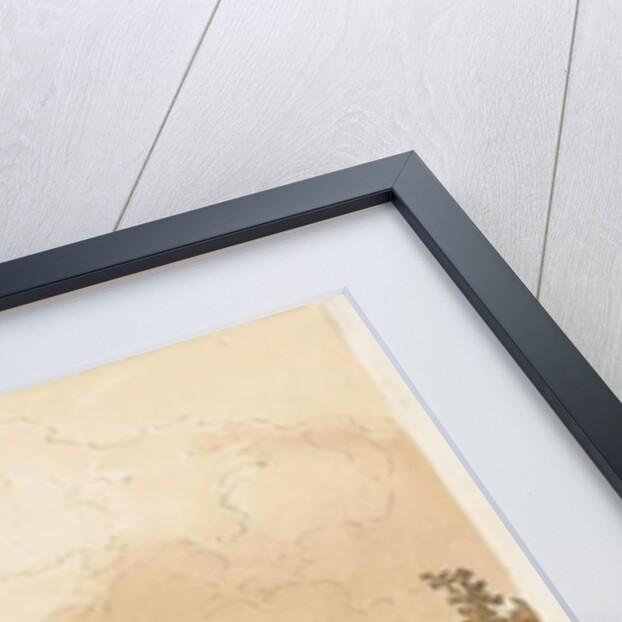 Thickbroom Hall [Manley Hall] by Thomas Peploe Wood