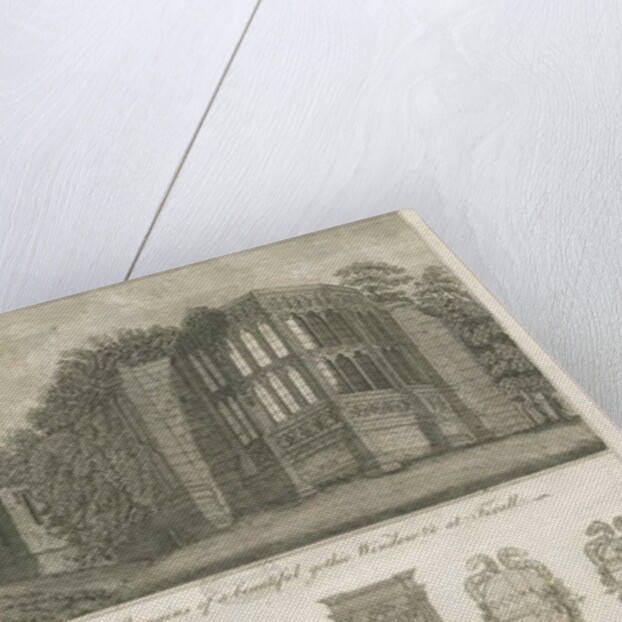 Tixall Hall - Gothic Window and Heraldic Antiquities: engraving by Stebbing Shaw