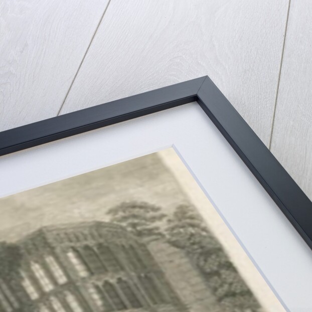 Tixall Hall - Gothic Window and Heraldic Antiquities: engraving by Stebbing Shaw