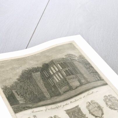 Tixall Hall - Gothic Window and Heraldic Antiquities: engraving by Stebbing Shaw