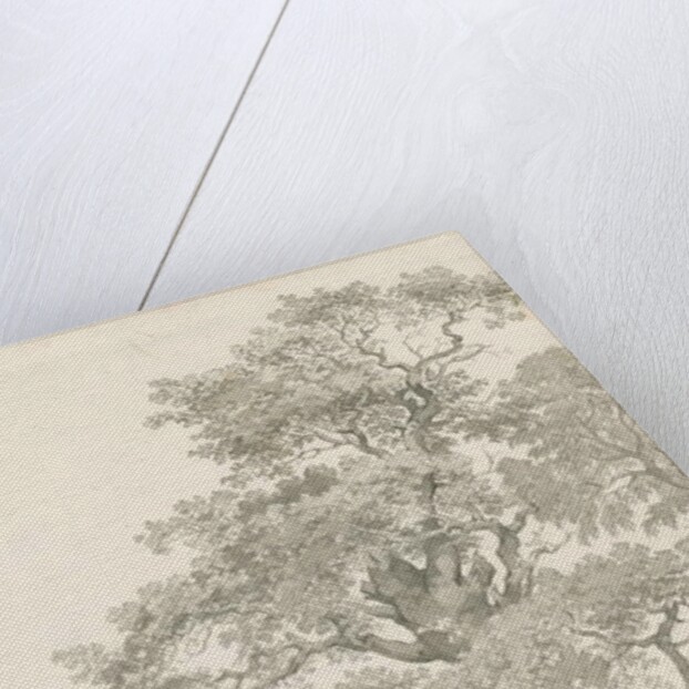 Tixall - Oak Tree: pen and wash drawing, 1837 by Thomas Peploe Wood