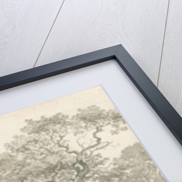 Tixall - Oak Tree: pen and wash drawing, 1837 by Thomas Peploe Wood