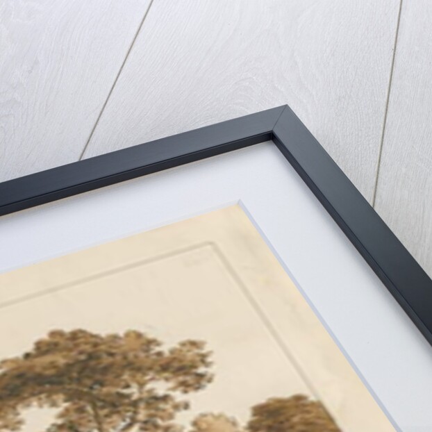 Chartley Castle by Thomas Peploe Wood