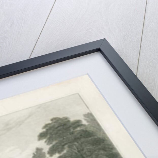 Trentham Hall by Frederick Calvert