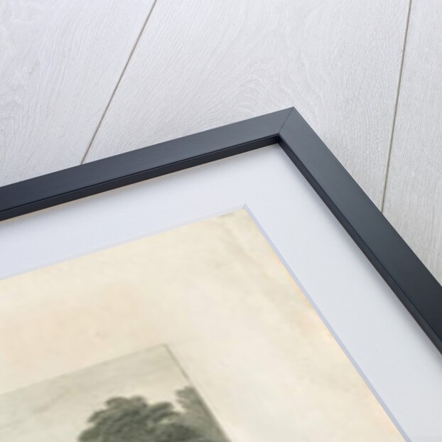 Trentham Hall: engraving by Frederick Calvert