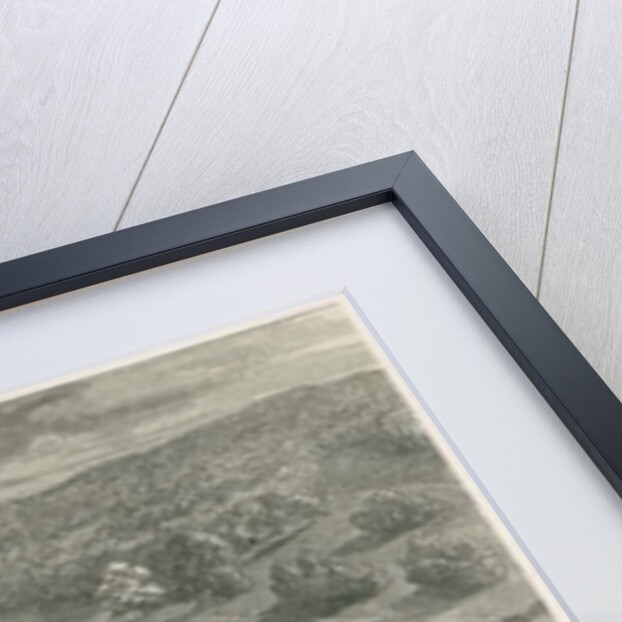 Trentham Gardens by School English