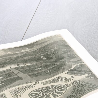 Trentham Gardens by School English