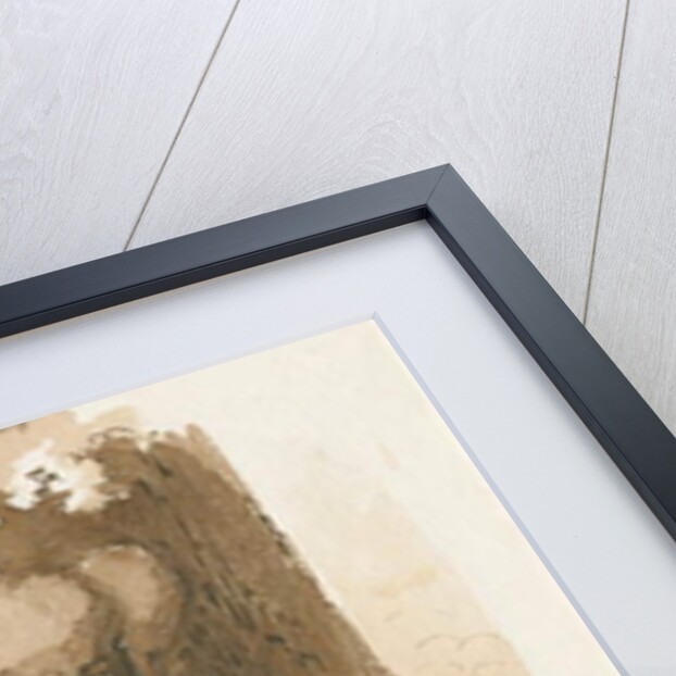 Wolseley Park - Knot on an Oak Tree: pen and sepia drawing, 1838 by Thomas Peploe Wood