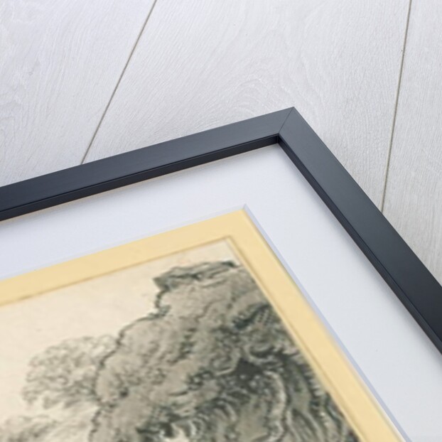 Wolseley - Wolseley Arms Inn by John Allport