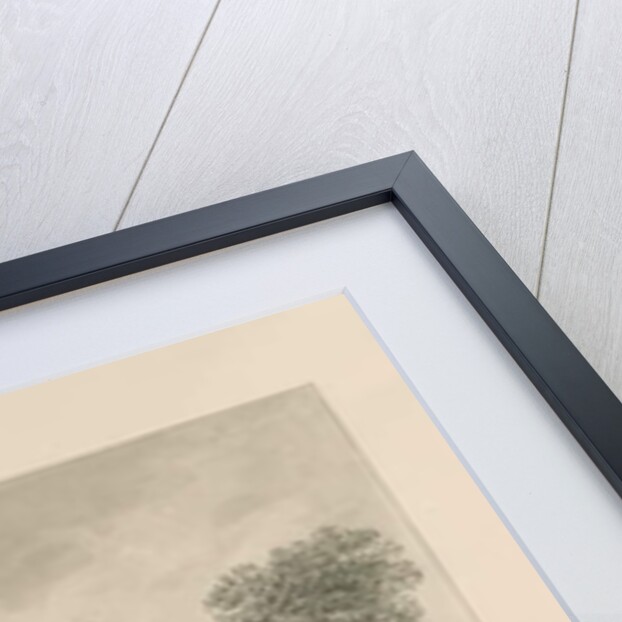 Tamworth Castle: sepia wash drawing, 1838 by John Buckler