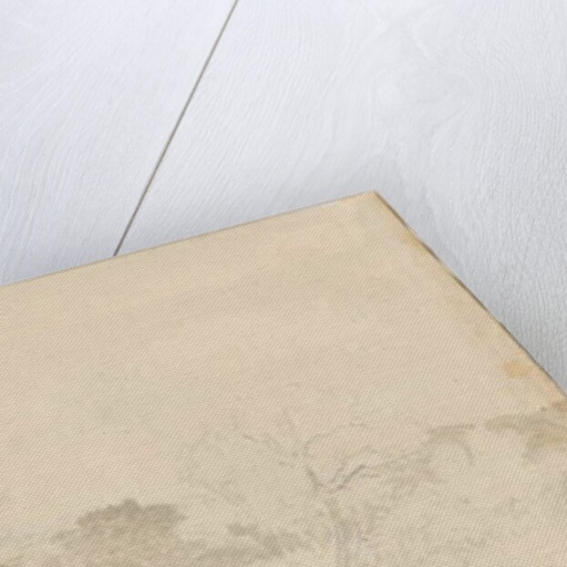 Tamworth - Distant View by Henry Curzon Allport