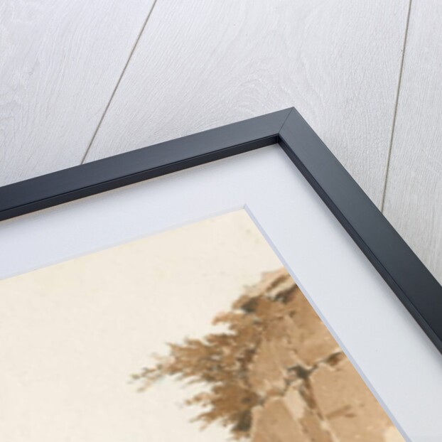 Wolverhampton - Distant view from Tettenhall by Thomas Peploe Wood