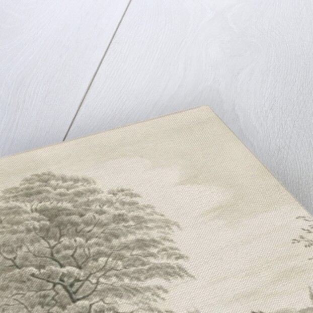 Wolverhampton - Distant view from Dunstall Lane by Robert Noyes