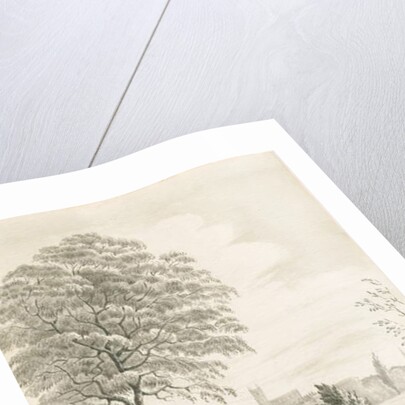 Wolverhampton - Distant view from Dunstall Lane by Robert Noyes