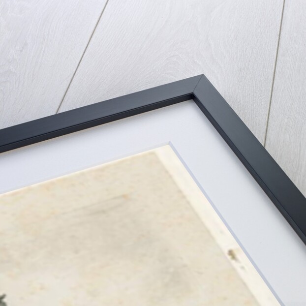 Wolverhampton - St. Peter's Church by Robert Noyes