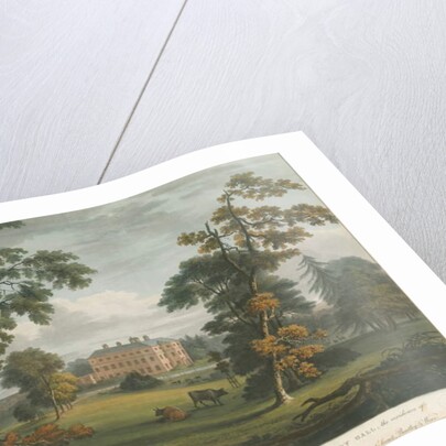 Teddesley Hall: coloured aquatint engraving by School English