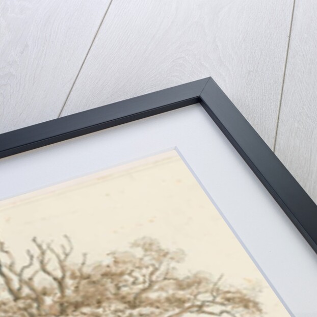 Teddesley Hall - Oak Trees by Thomas Peploe Wood