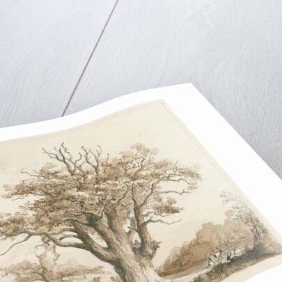 Teddesley Hall - Oak Trees by Thomas Peploe Wood