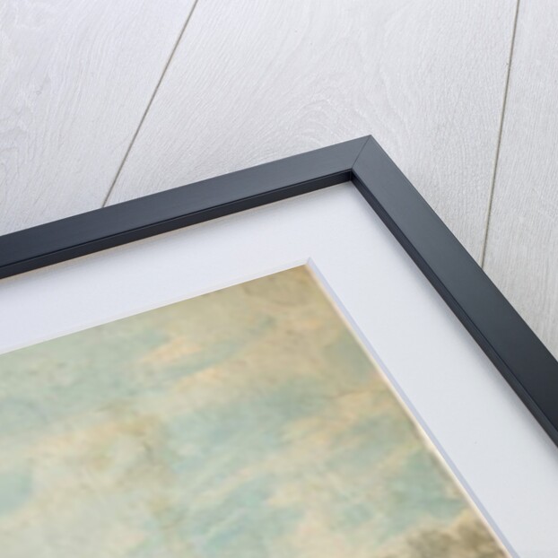 Walsall Town - North West View by Stebbing Shaw