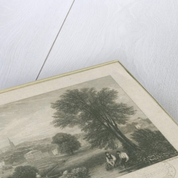 Walsall Town - North View: engraving, nd [19th cent] by School English