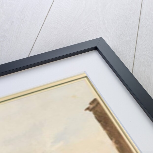 Walsall Town and Church by Henry James Noyes