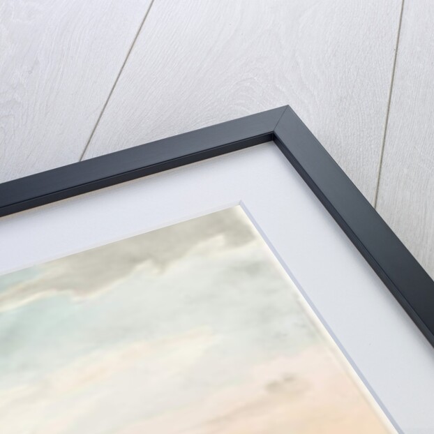 Wolverhampton - Race Course: coloured lithograph, nd [c 1826] by Robert Noyes