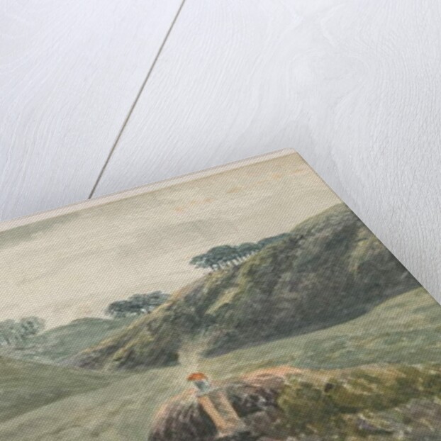 Walton-on-the-Hill - Cannock Chase by School English