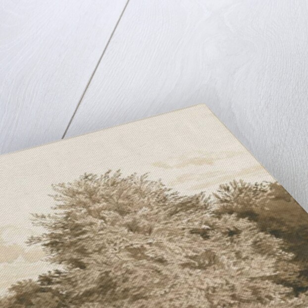 Wrottesley Hall - The Shrubbery: sepia drawing, 1820 by Cornelius Varley