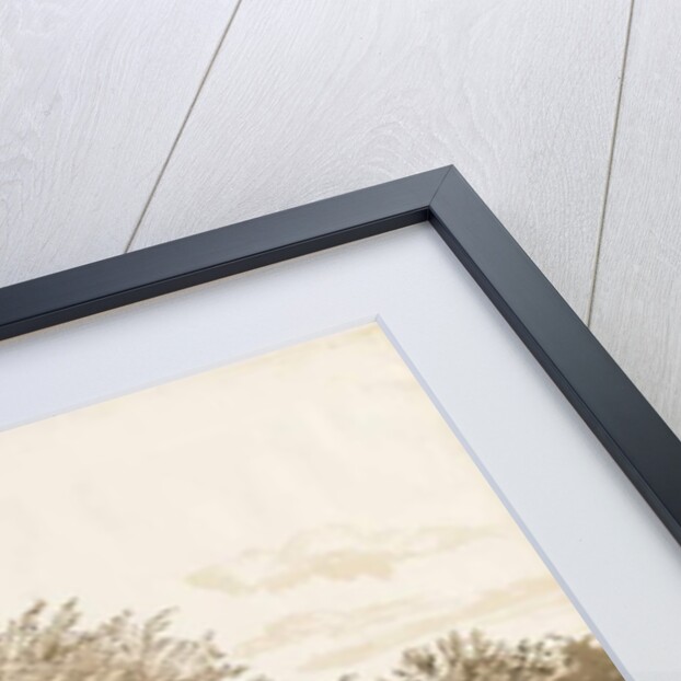 Wrottesley Hall - The Shrubbery: sepia drawing, 1820 by Cornelius Varley