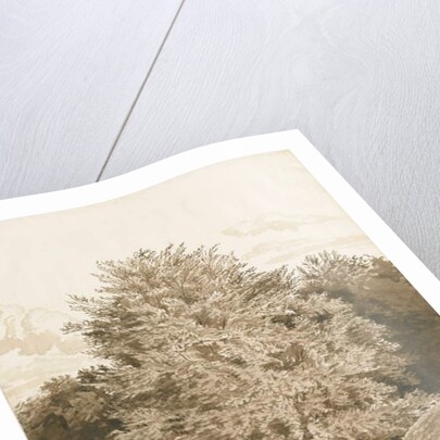 Wrottesley Hall - The Shrubbery: sepia drawing, 1820 by Cornelius Varley