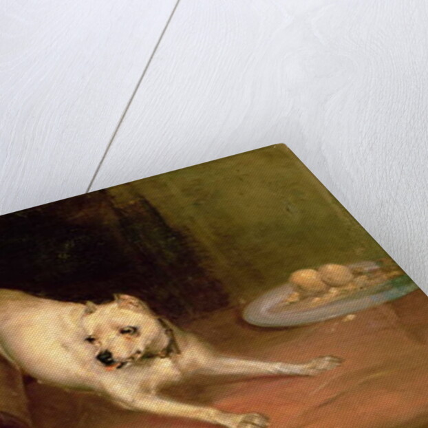 Dog Chasing a Rat by Briton Riviere