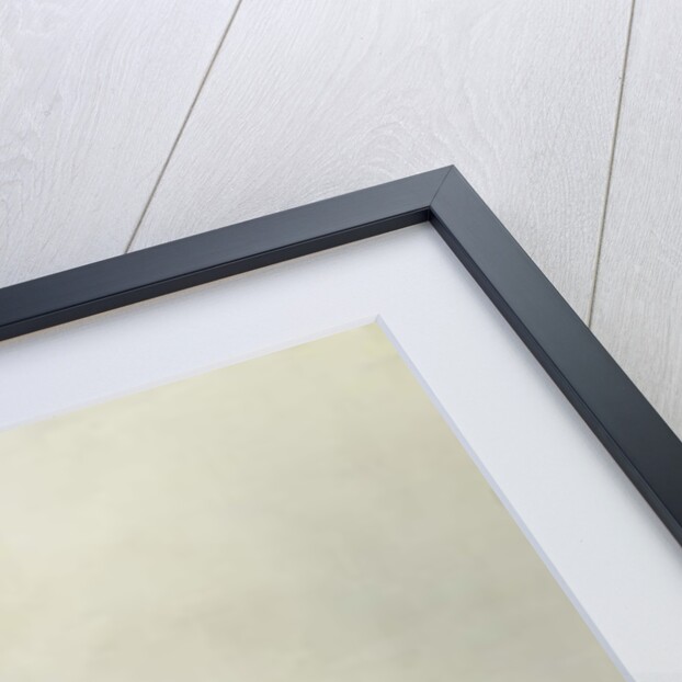 The Kremlin, Moscow, 1839 by Johann Philipp Eduard Gartner