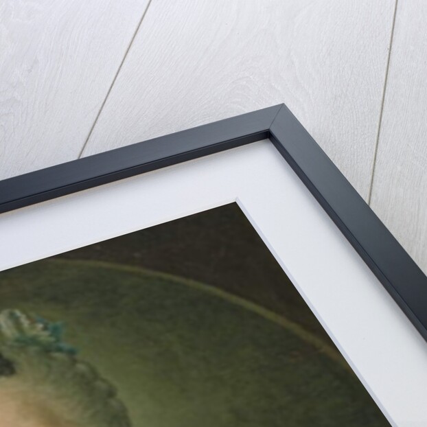 Portrait of Countess Sophie Matiuskina, 1763 by Kirill Inanovich Golovachevsky