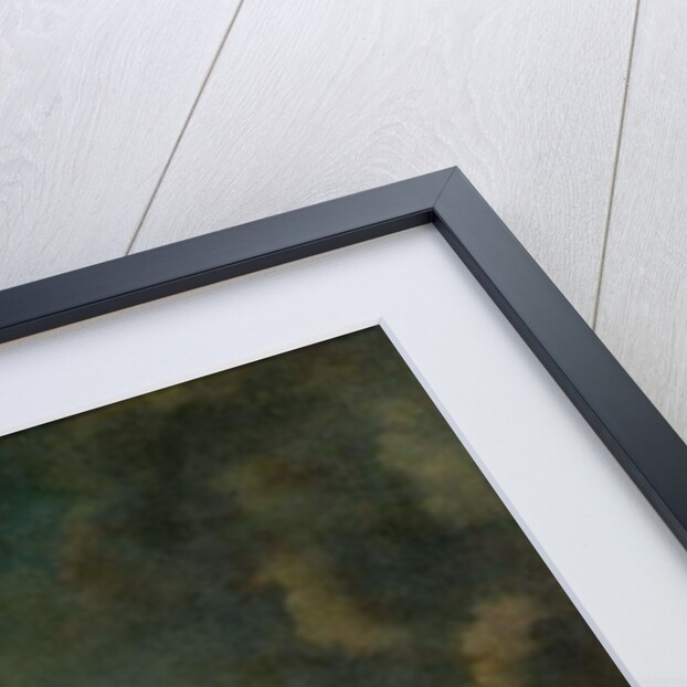 Portrait of Grand Duke Peter III by Georg Christoph Grooth