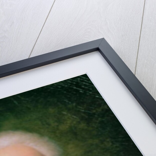 Portrait of Johann Wolfgang von Goethe, 1818 by Ferdinand Jagemann