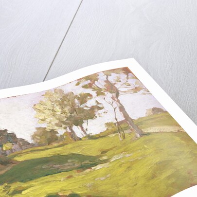 Sunlit Day. A Small Village, 1898 by Isaak Ilyich Levitan