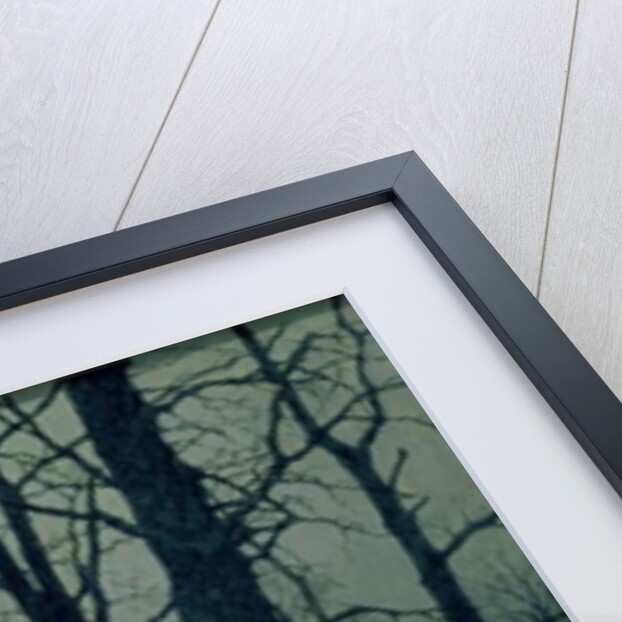 Wood in Winter, 1885 by Isaak Ilyich Levitan