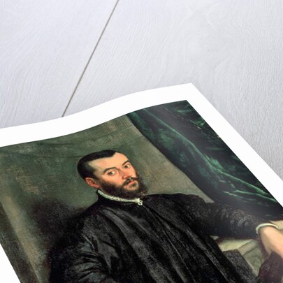 Portrait of Andrea Vesalius by Jan Stephen Calcar