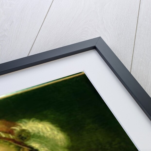 Female Portrait, c.1536 by Titian