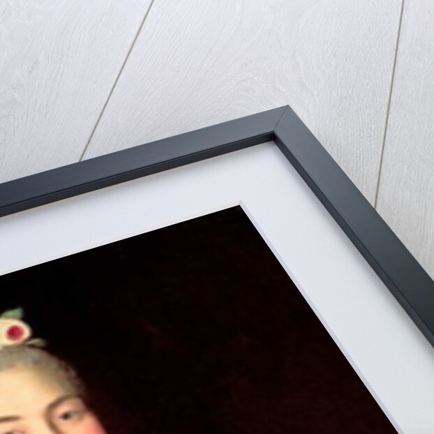 Portrait of Countess Anna Sheremetyeva, c.1768 by Ivan Petrovich Argunov