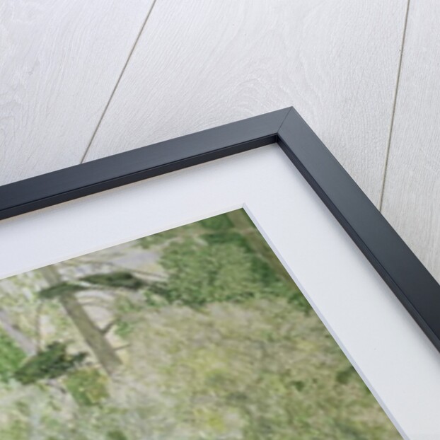 Silver White Willow, 1904 by Aleksandr Jakovlevic Golovin