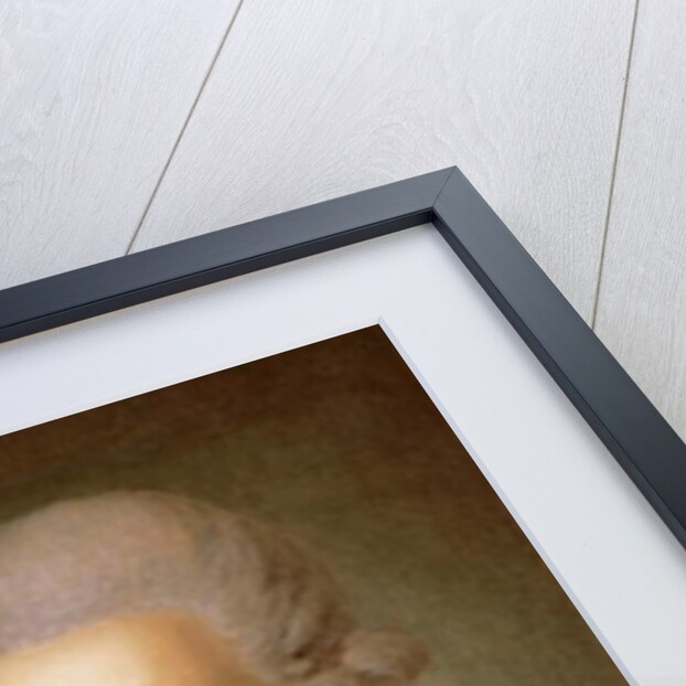 Portrait of Senator Count Artemy Vorontsov, after 1768 by Fedor Stepanovich Rokotov